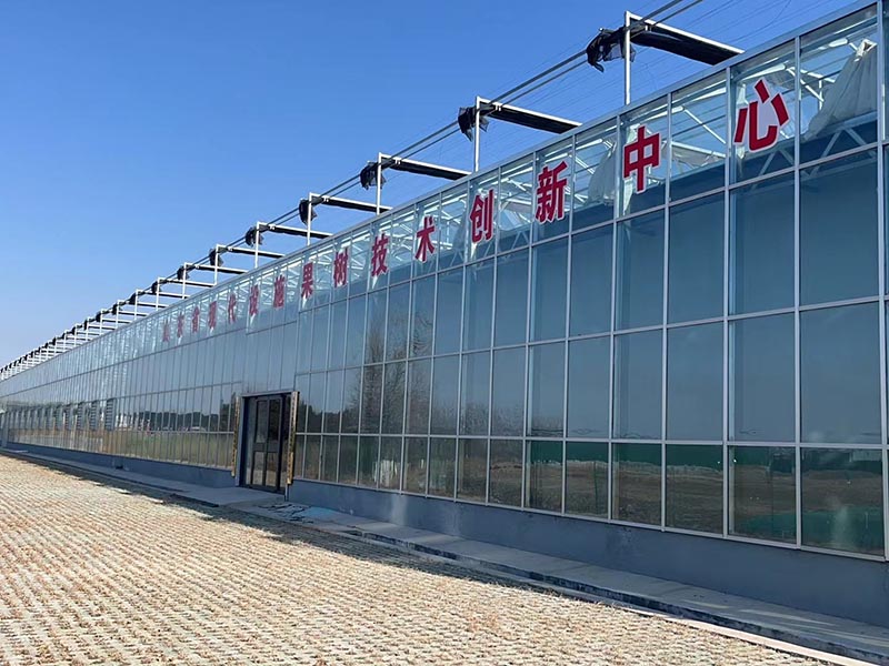 连栋玻璃温室