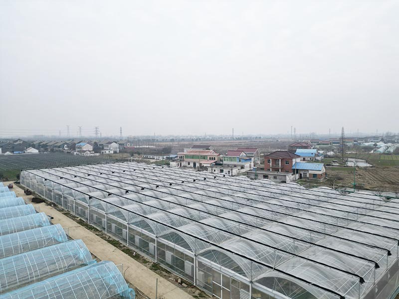 连栋薄膜温室