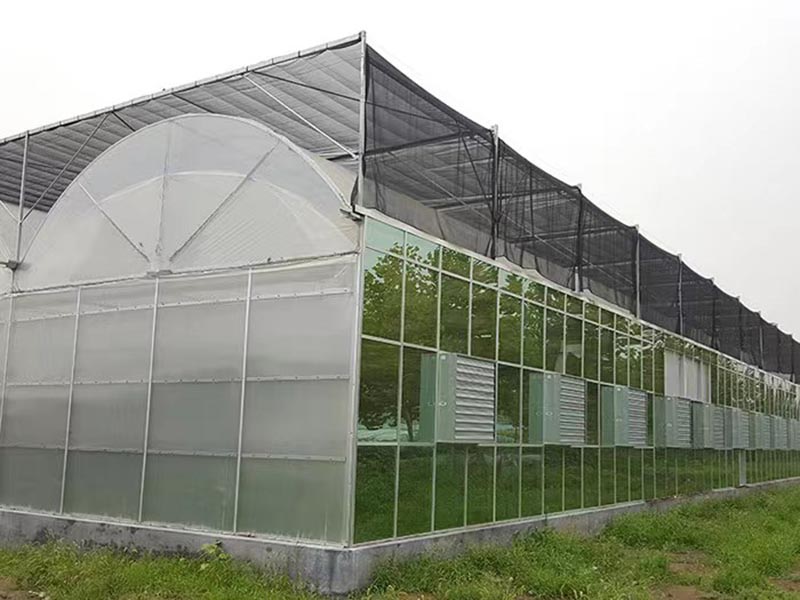连栋薄膜温室