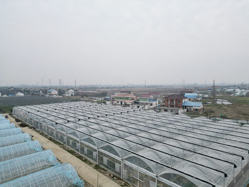 连栋薄膜温室