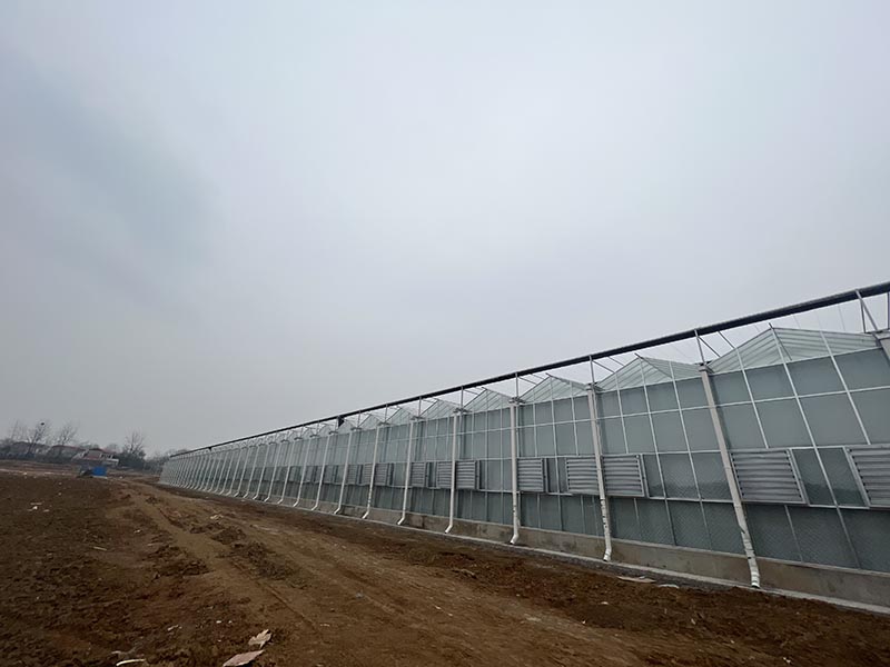 玻璃温室施工现场